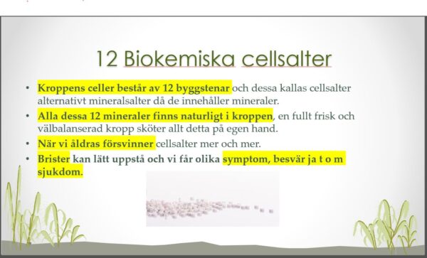 Bromsa åldrandet PPT, föreläsning för DCG den 14 maj 2025. - Bild 2
